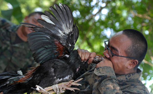 חייל אוכל תרנגולת (צילום: PORNCHAI KITTIWONGSAKUL, GettyImages IL)