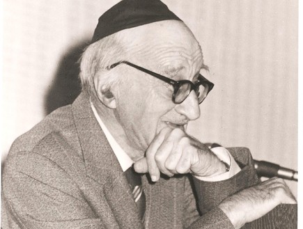 ליבוביץ' הסדרה