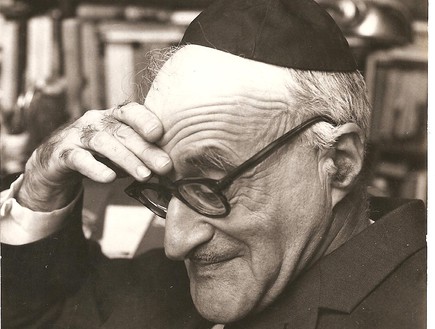 ליבוביץ' הסדרה