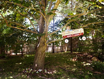 הנרי המעופף - על עץ (צילום: רייצ'ל הולין, צילום מסך מהאתר rachelhulin.com)