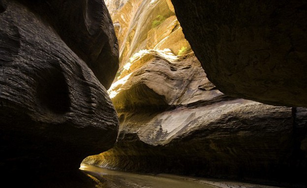 רק 80 איש זוכים להיכנס, רכבת תחתית טבעית