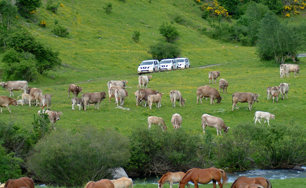 מלכת המדבר: ספרד