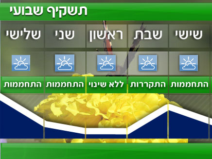 תשקיף