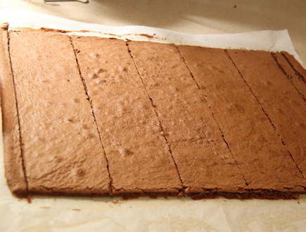 עוגת שכבות שוקולד וקצפת לפסח - העוגה האפויה (צילום: חן שוקרון, מתוקים שלי)