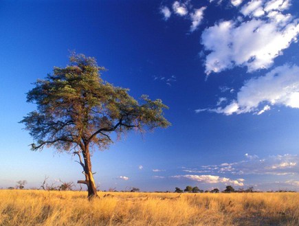 נמיביה (צילום: אימג'בנק / Thinkstock)