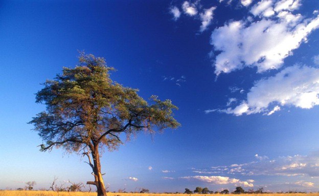 נמיביה (צילום: אימג'בנק / Thinkstock)