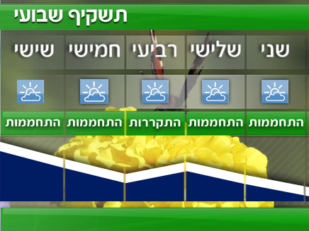 תשקיף