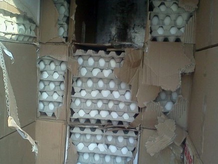 הברחת ביצים (צילום: משטרת ישראל)