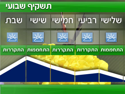 תשקיף