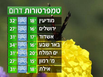 הטמפרטורות בדרום