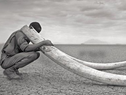 תערוכת בשר ודם ניק ברנדט תערוכת בשר ודם ניק ברנדט