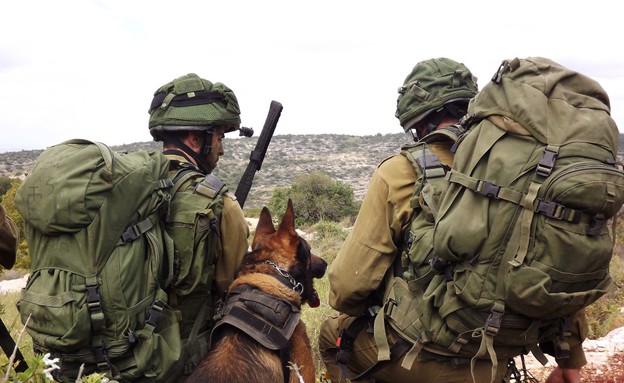 אימון של עוקץ ורוכב שמים (צילום: שי לוי, צבא וביטחון)