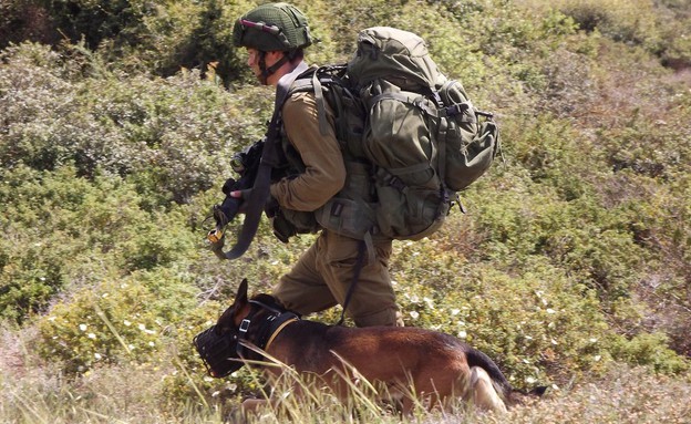 יחידתן עוקץ ויחידת רוכב שמים באימון (צילום: שי לוי, צבא וביטחון)