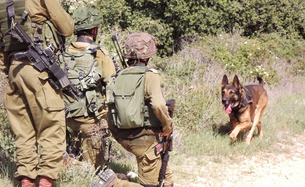 אימון של יחידת עוקץ ושל יחידת רוכב שמים (צילום: שי לוי, צבא וביטחון)