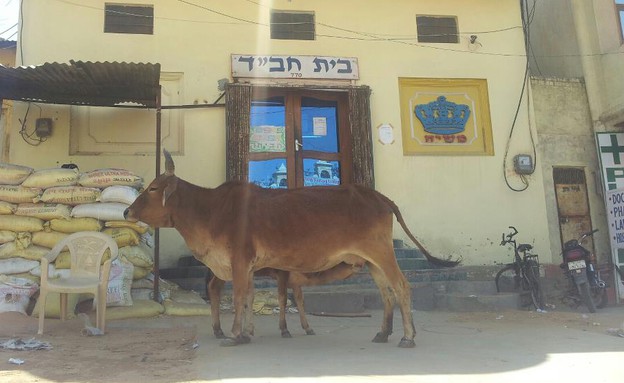 בית חב"ד בפושקאר