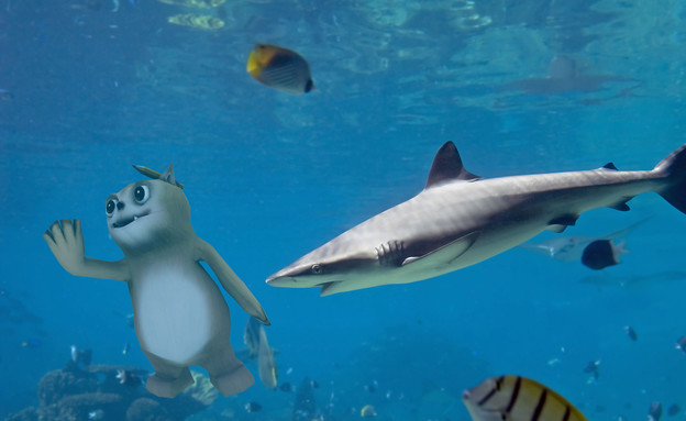 פוף עם כרישים