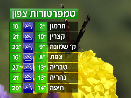 הטמפרטורות בצפון