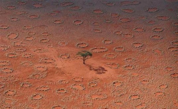 מעגלי הפיות במדבר נמיב (צילום: nbcnews.com)