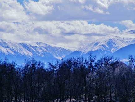 הרי הקרפטים, רומניה, סער פלס (צילום: סער פלס)