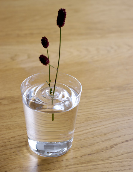 אגרטל צף פרח בכוס (צילום: www.oodesign)