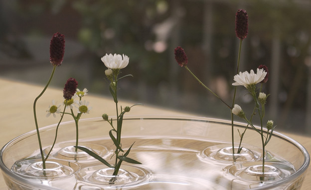 אגרטל צף, פרחים בקערה (צילום: www.oodesign)