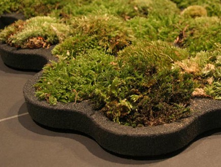 חמישייה 74, שטיח ירוק (צילום: www.coroflot.com)