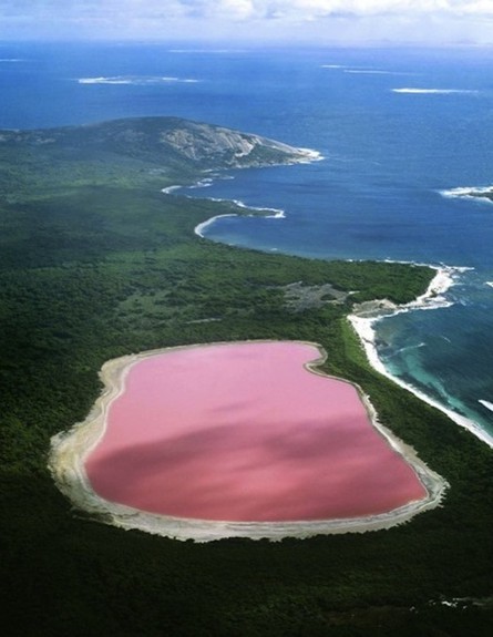 האגם הוורוד אוסטרליה
