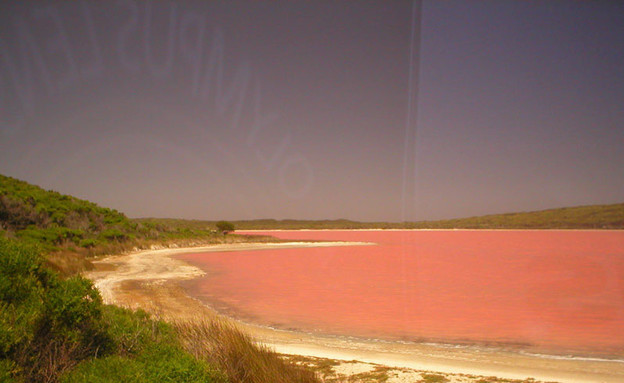 מבט מקרוב, האגם הוורוד באוסטרליה