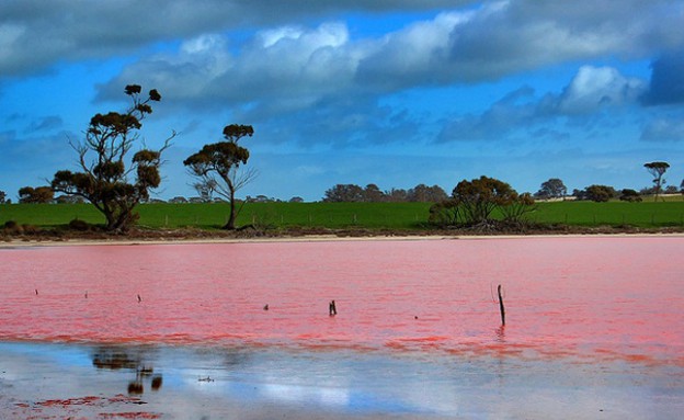עוד מבט מקרוב, האגם הוורוד באוסטרליה