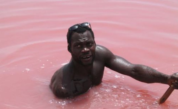רוחץ באגם, האגם הוורוד באוסטרליה