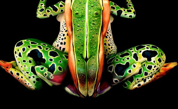 צפרדע מדוגמניות צבועות גוף