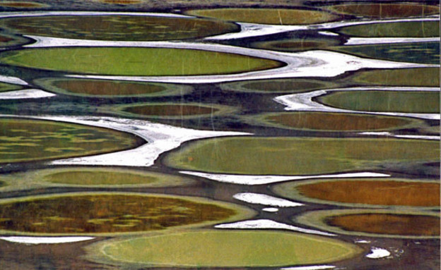 מבט מקרוב, האגם המנוקד