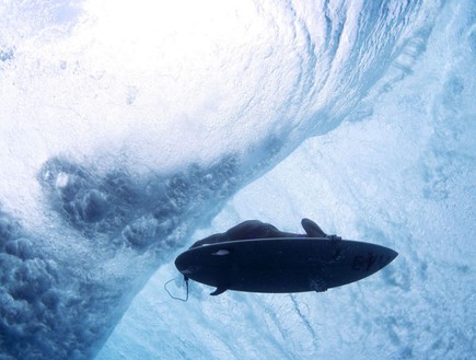 עסק מסוכן, תמונות מתחת למים (צילום: Lucia Griggi)