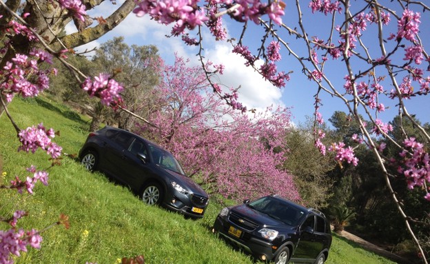 שברולט קפטיבה