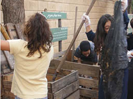 ממחזרים באופן קבוע (צילום: בית ספר נטעים, רמת גן)