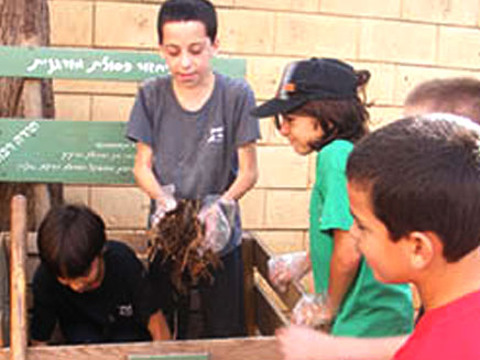 התלמידים אחראים גם לקומפוסט (צילום: בית ספר נטעים, רמת גן)