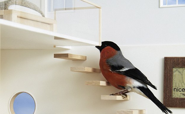 בית לציפור, מדרגות (צילום: Clas Ohlson)