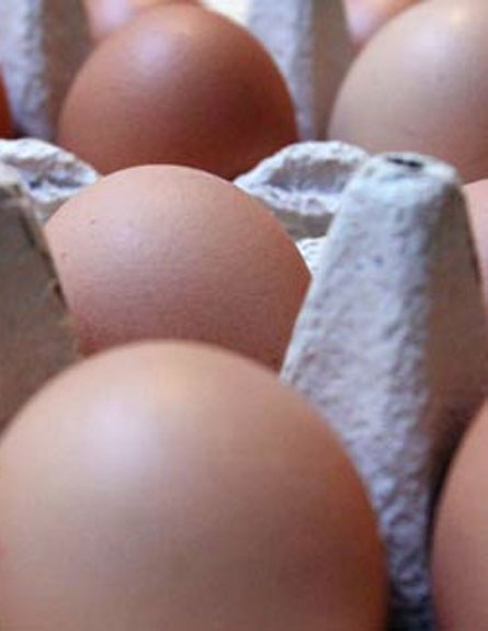 האם יש הנחיות מיוחדות לאכילת ביצים? (צילום: AP)