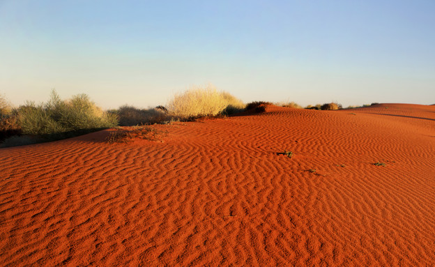המדבר האדום, המדבריות היפים (צילום: אימג'בנק / Thinkstock)
