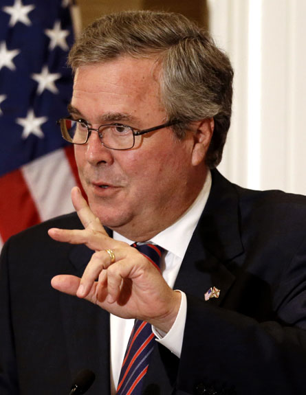 ג'ב בוש לנשיאות? (צילום: AP)