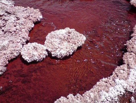 אגם אדום