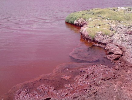 אגם אדום