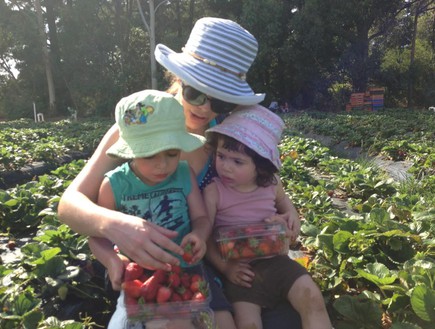 מיכל יושאי וילדיה קוטפים תותים (צילום: תומר ושחר צלמים)