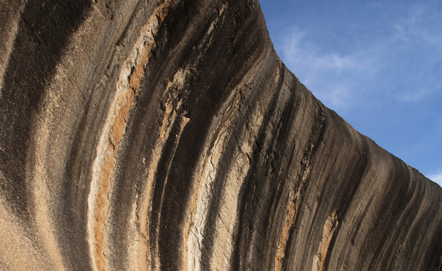 גל פרה היסטורי, צילום אימג'בנק סינקסטוק