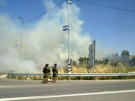 הוצתו שדות ועצים של פלסטינים (צילום: הצלה יהודה ושומרון)