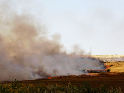 אש סמוך למושב הזורעים, היום (צילום: רחל ויסמן)