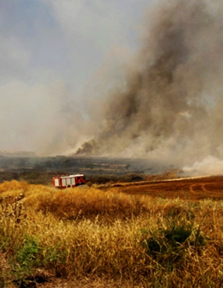 שריפה סמוך למושב הזורעים, היום (צילום: רחל ויסמן)