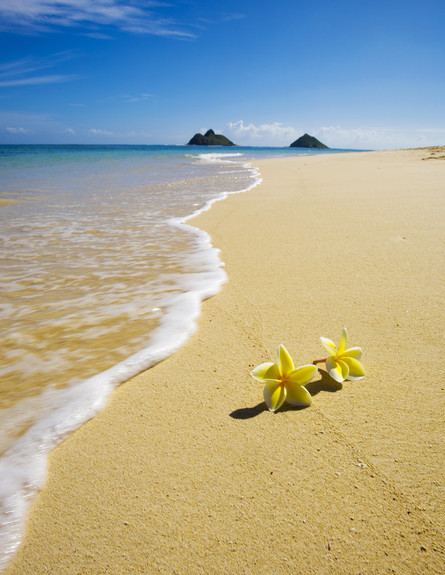 לה ניקאיי, הוואי, החופים היפים (צילום: אימג'בנק / Thinkstock)