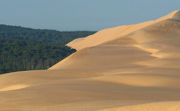בחוף המערבי, דיונה פילה צרפת