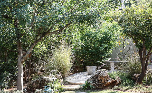 מירי דנקנר, חצר צמחייה